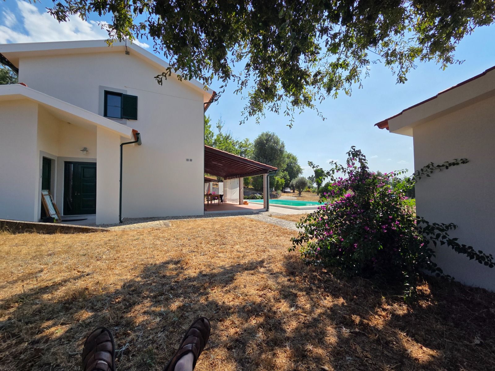 The house from the garden, summer afternoon